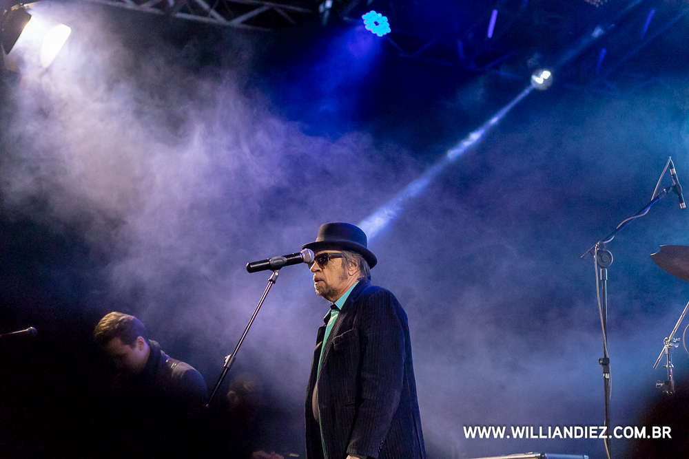 banda-camisa-de-venus