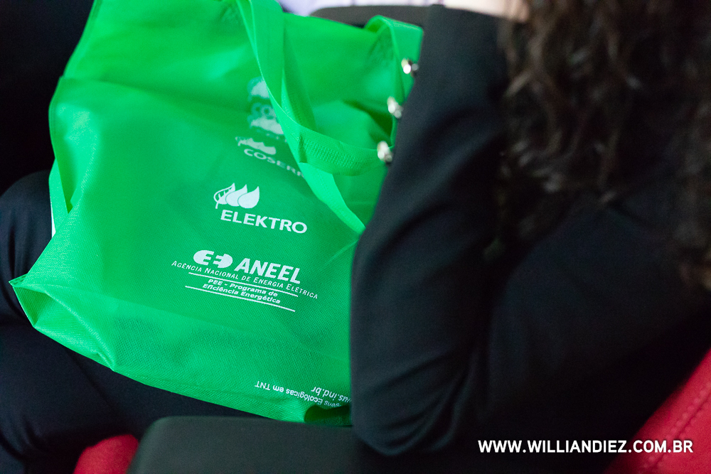 eficiencia-energetica-aneel