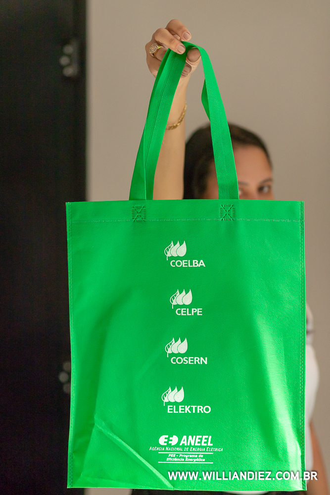 eficiencia-energetica-aneel