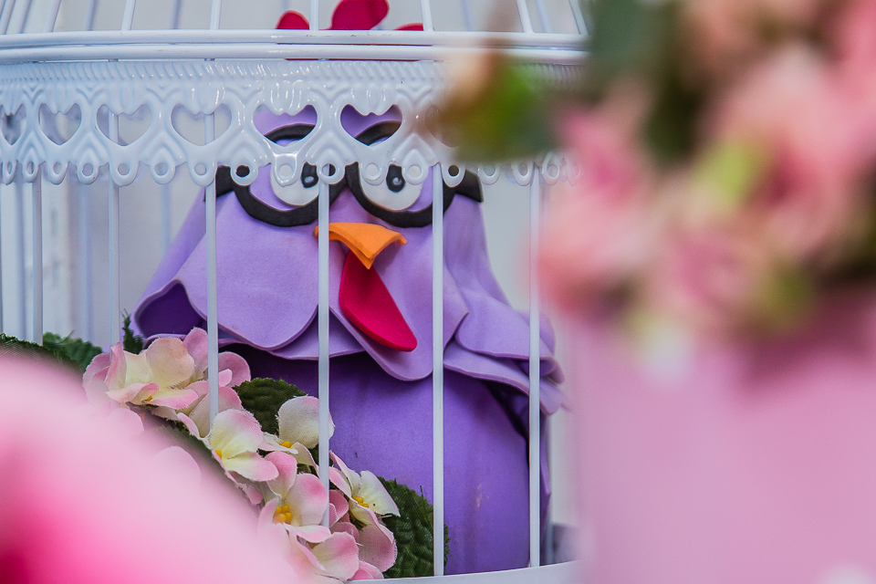 aniversario-infantil