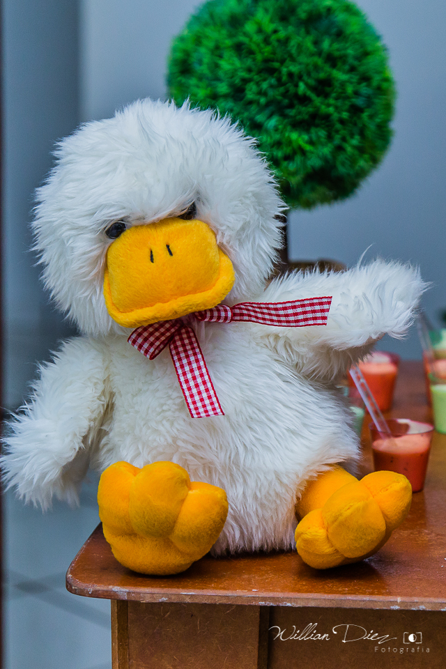 aniversario-infantil