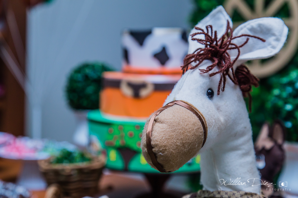 aniversario-infantil