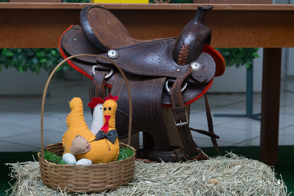 aniversario-infantil