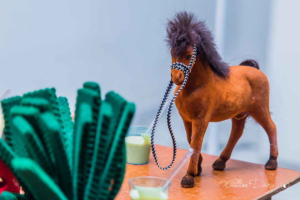 aniversario-infantil