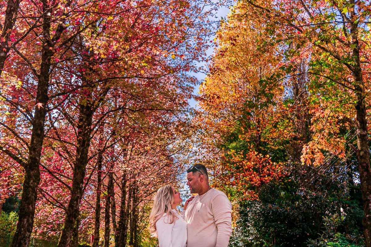 Darciane Moreira Fotografia