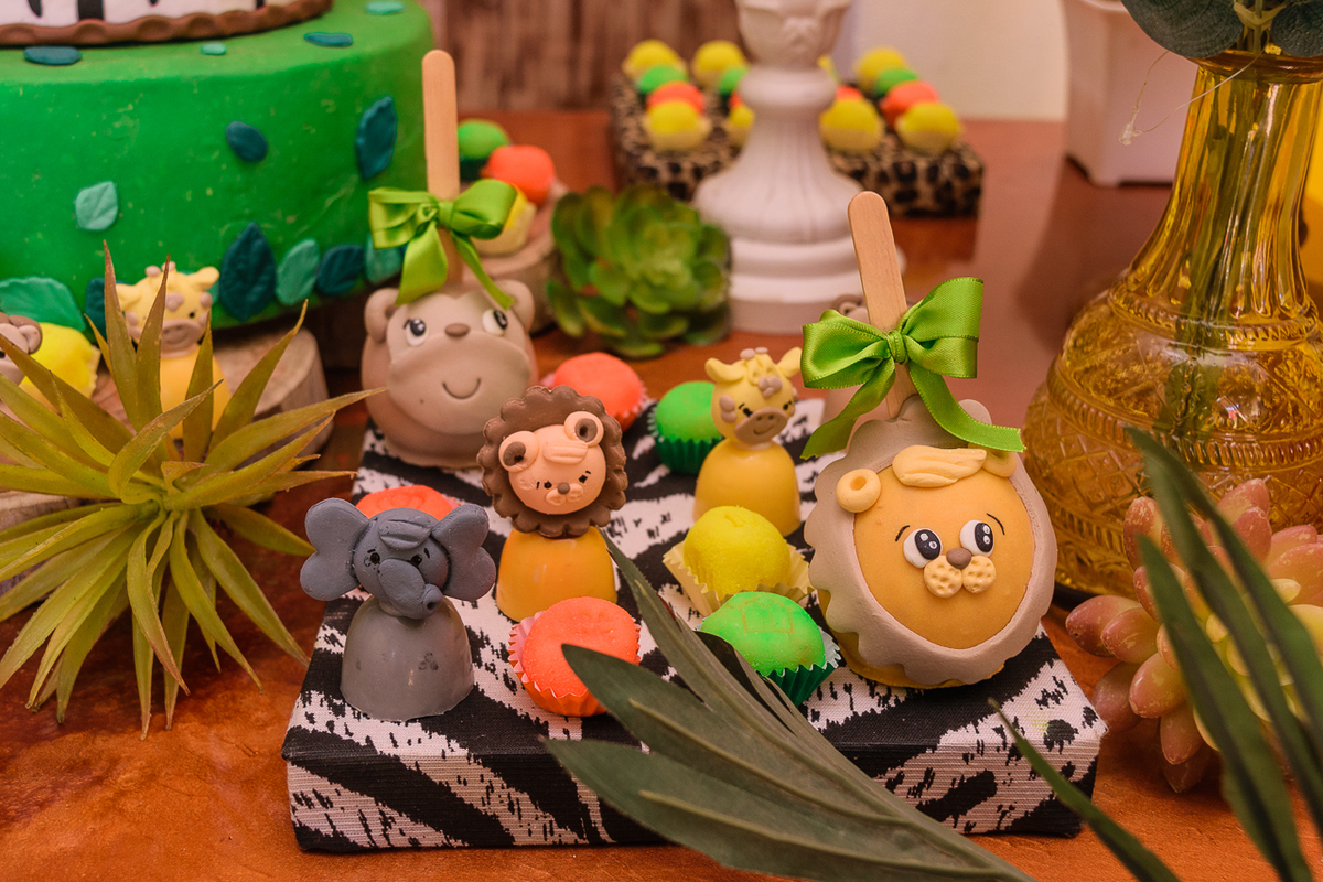 fotógrafa de aniversário