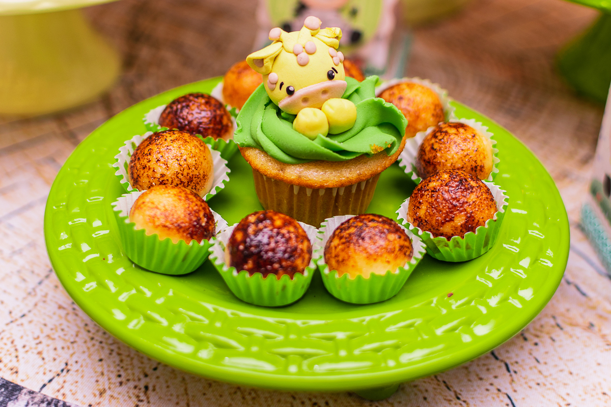 Fotógrafa de Família