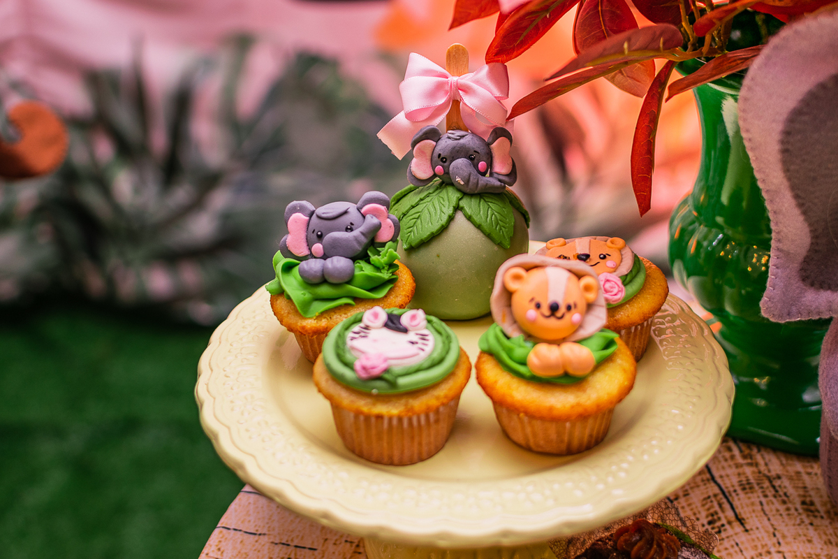 Fotógrafa de Aniversário