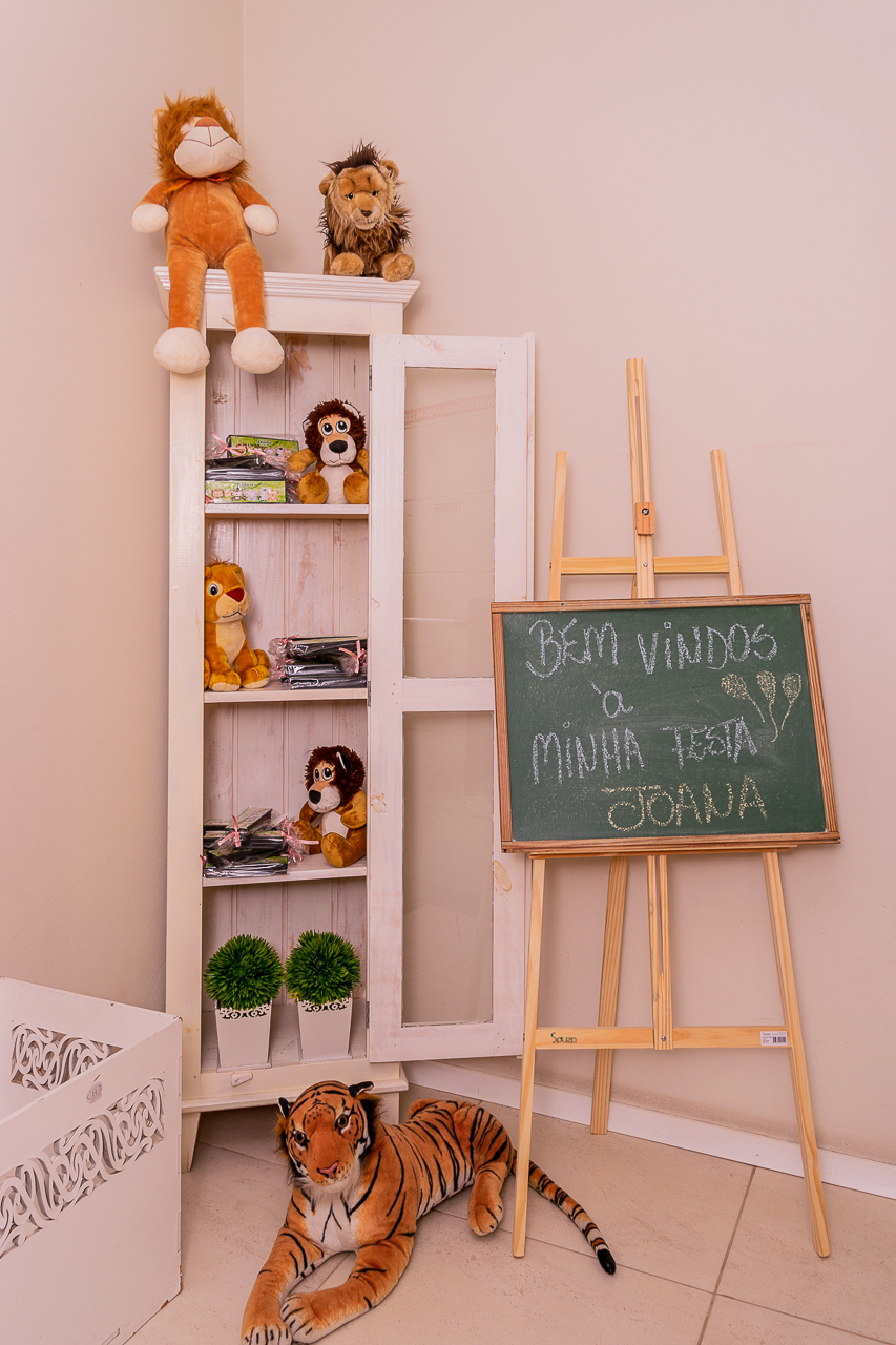 Fotógrafa de Aniversário