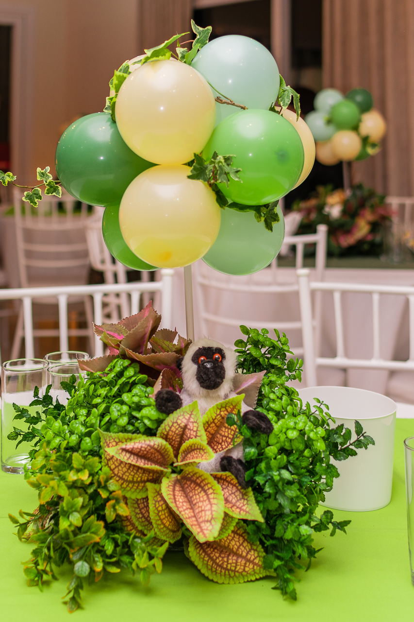 Fotógrafa de Aniversário