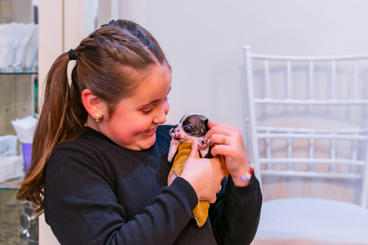 Fotógrafa de Evento