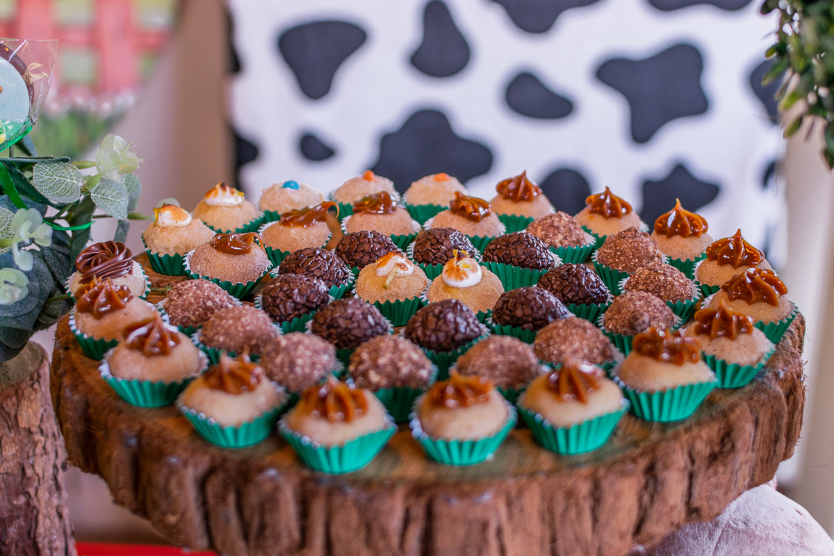 Fotógrafa de Família