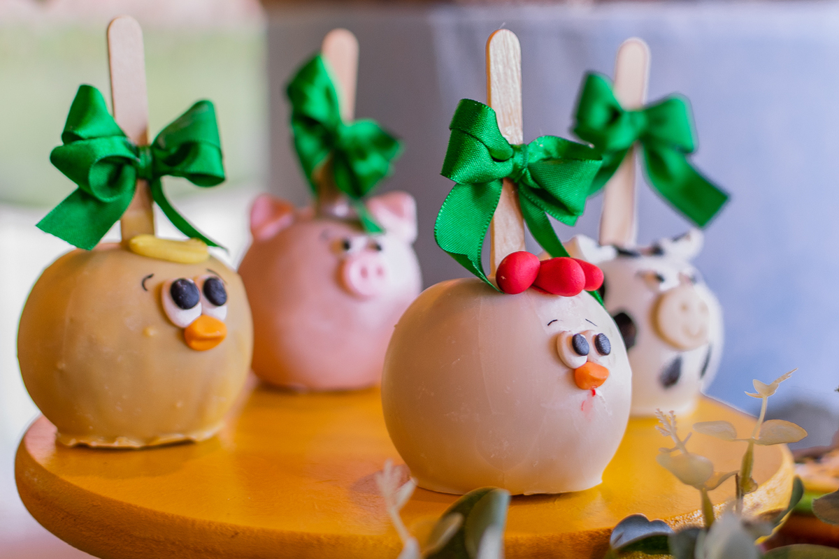 Fotógrafa de Aniversário