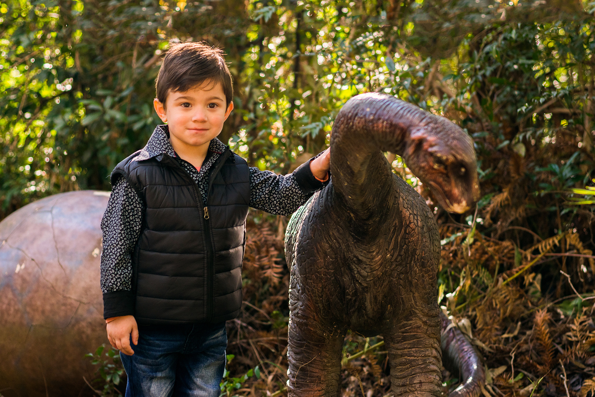 Book - Ensaio Fotográfico -
 Infantil - Vale dos Dinossauros - Canela/RS - Dinossauros - Dinos - Temático