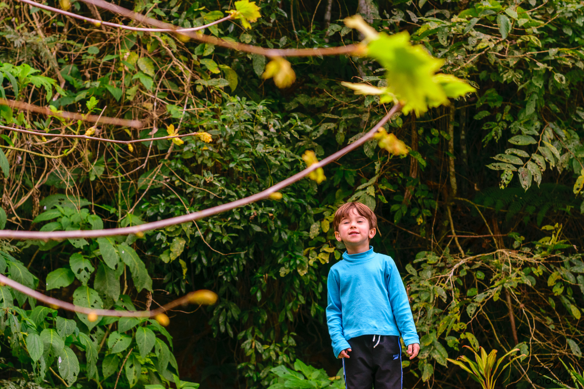 Lucas - Dia das Crianças - Aniversário - book - infantil - ensaio fotográfico - Country Clube - Nova Friburgo - Rio de Janeiro - RJ - Natureza - Paisagem