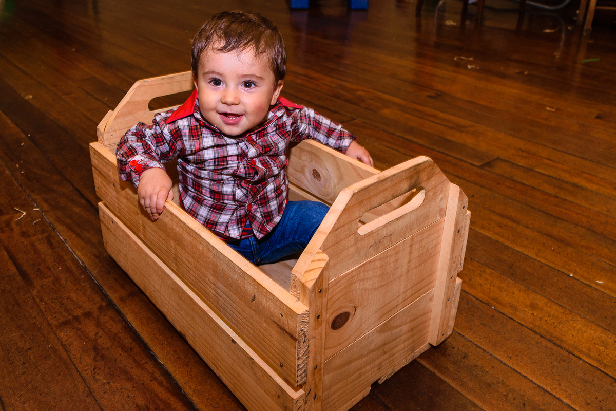 aniversario - aniversario infantil - feliz aniversario - happy birthday - fazendinha - decoração - canela - Rio grande do sul - aniversario de criança - Canela RS - fotografa em Canela - fotografa em Gramado