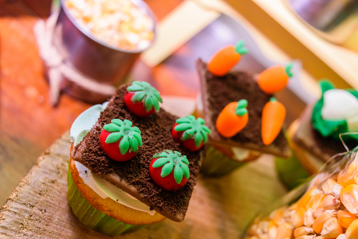 aniversario - aniversario infantil - feliz aniversario - happy birthday - fazendinha - decoração - canela - Rio grande do sul - aniversario de criança - Canela RS - fotografa em Canela - fotografa em Gramado