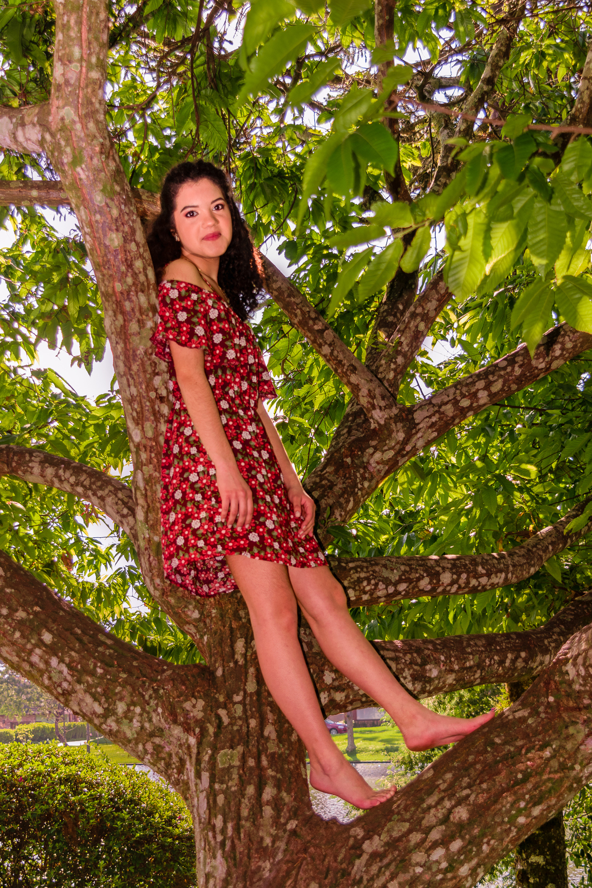 foto de 15 anos
