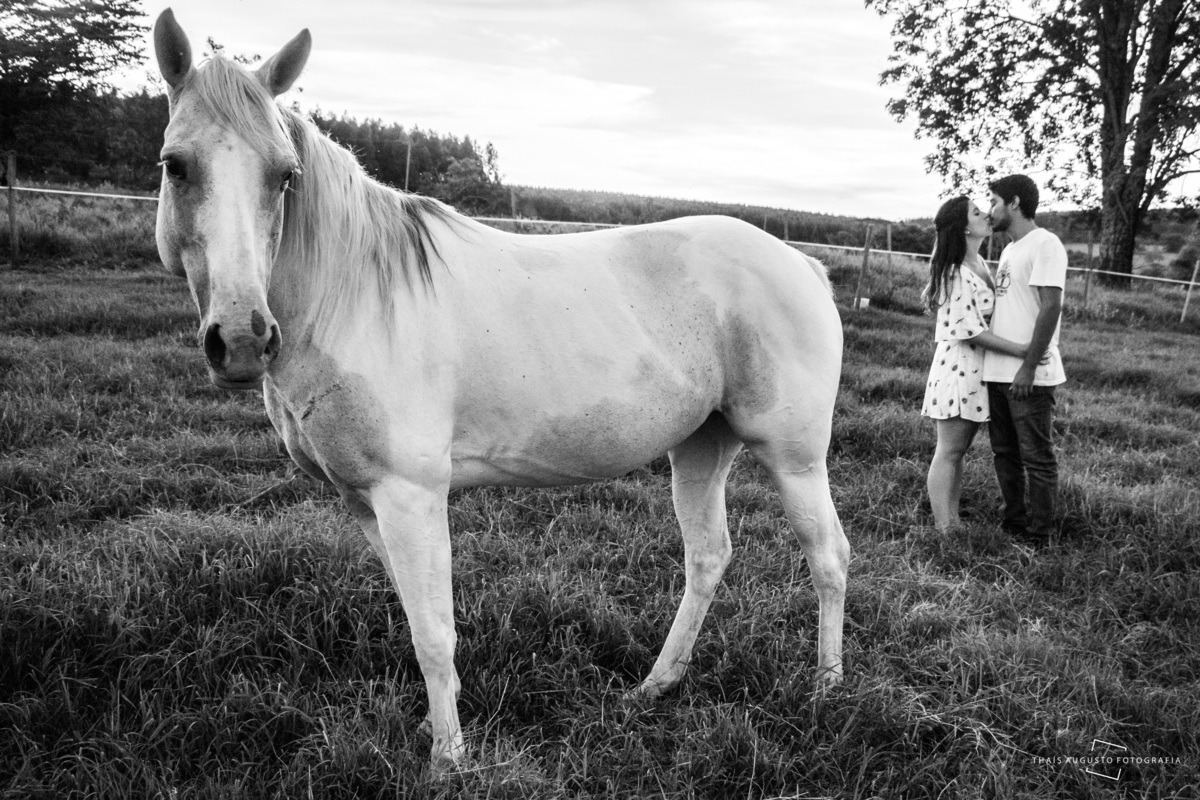 ensaio pre-wedding ensaio pre casamento na chacara com cavalos