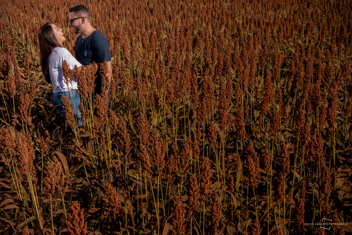 fotógrafa de casamento registra casal em flores de campo