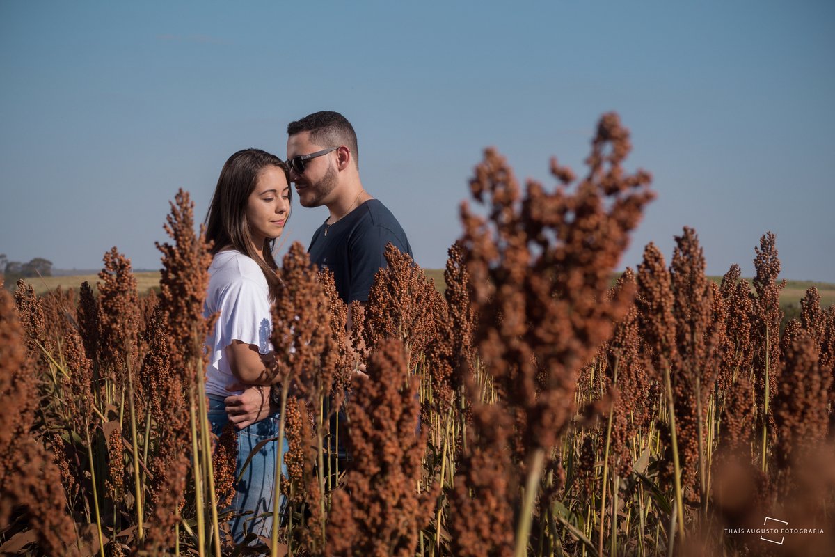 ensaio no campo de flores para casal de noivos, ensaio de casal de namorados e noivos na plantação 