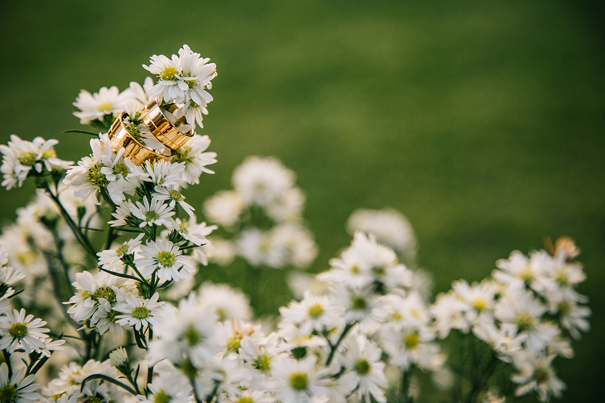 Casamento Rústico Sítio Recanto dos Coqueiros Maricá Rio de Janeiro Boho Chic Noivos 2019 Casamento de Dia Decoração de Casamento Rústico Cerimônia no Sítio Fotógrafo de Casamento Niterói Maricá Rio Bonito Búzios Petrópolis Making of Noiva 