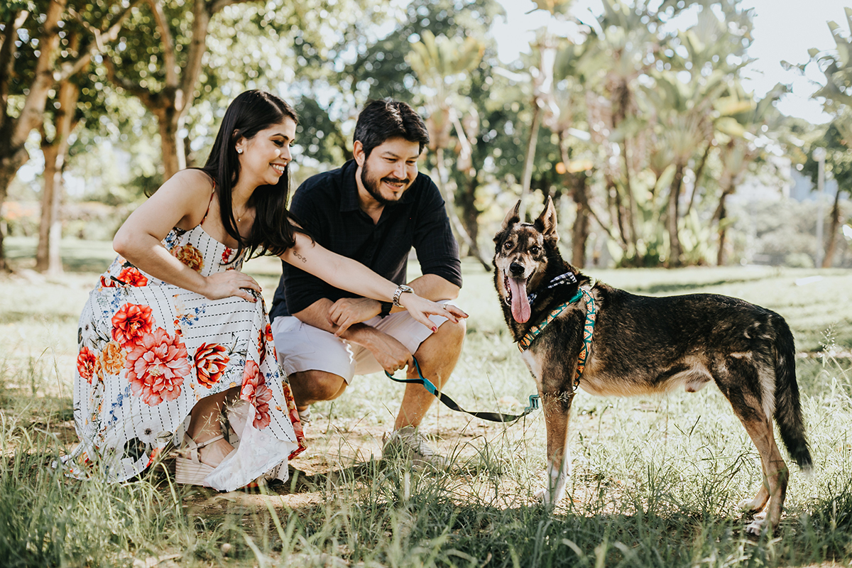 Ensaio de Casal Aterro do Flamengo Ensaio de Casal com cachorro Ensaio com o pet Praia do Flamengo RJ Pre Casamento Fotos de Casal 