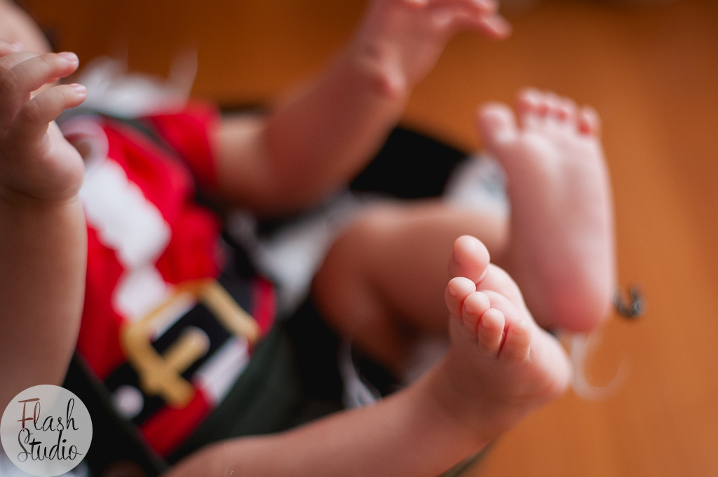pes fofos em ensaio fotografico de natal no rio de janeiro
