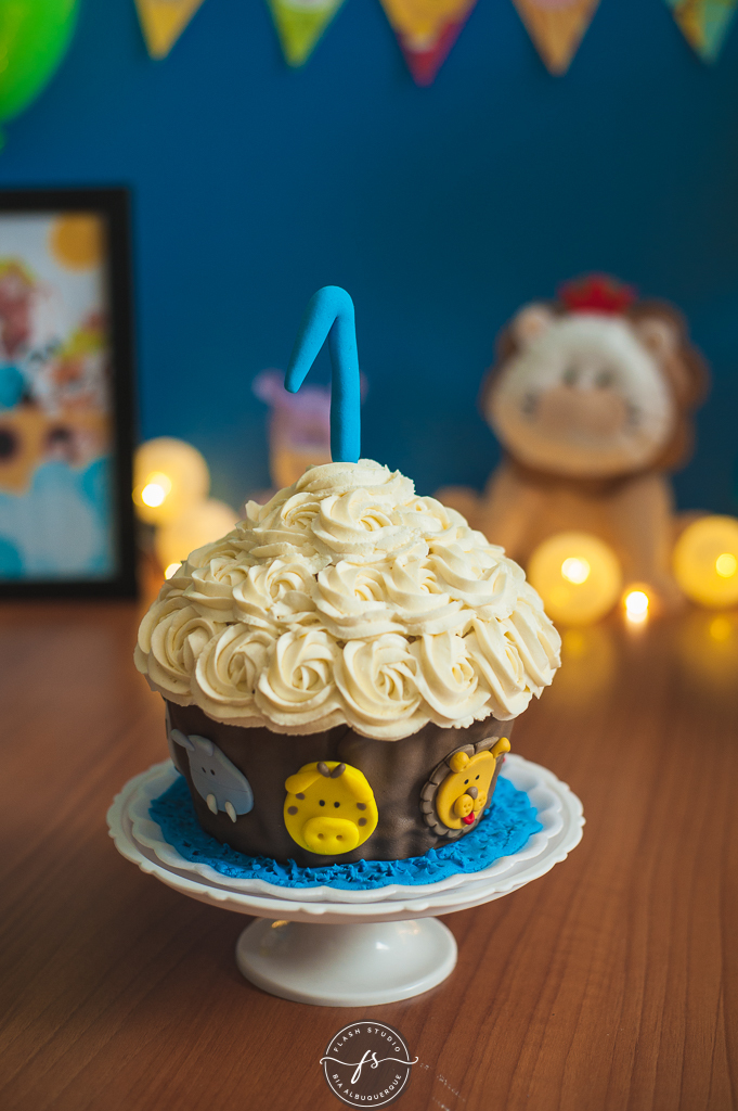 detalhes do bolo em smash the cake da arca de noé em estudio no rio de janeiro em bangu