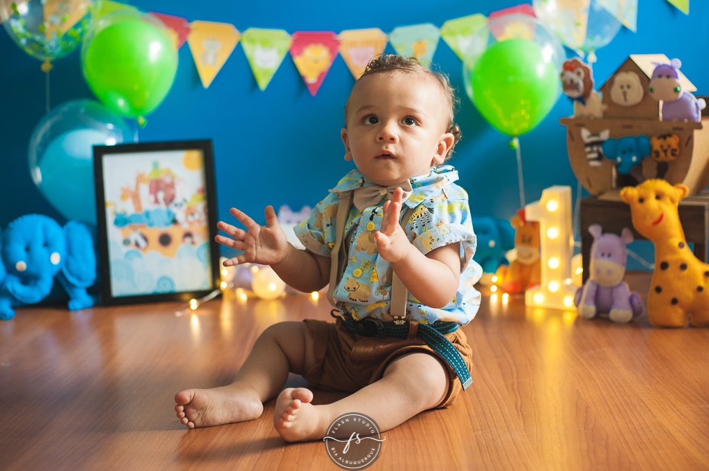 bebezinho em smash the cake da arca de noé em estudio no rio de janeiro em bangu