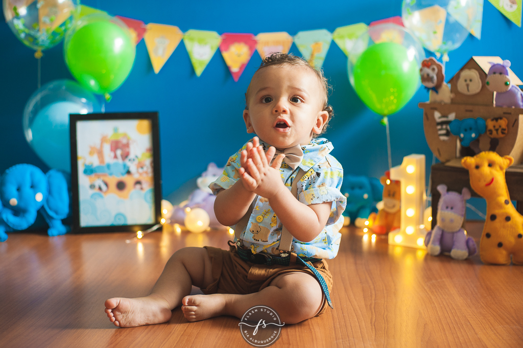 nenem em smash the cake da arca de noé em estudio no rio de janeiro em bangu