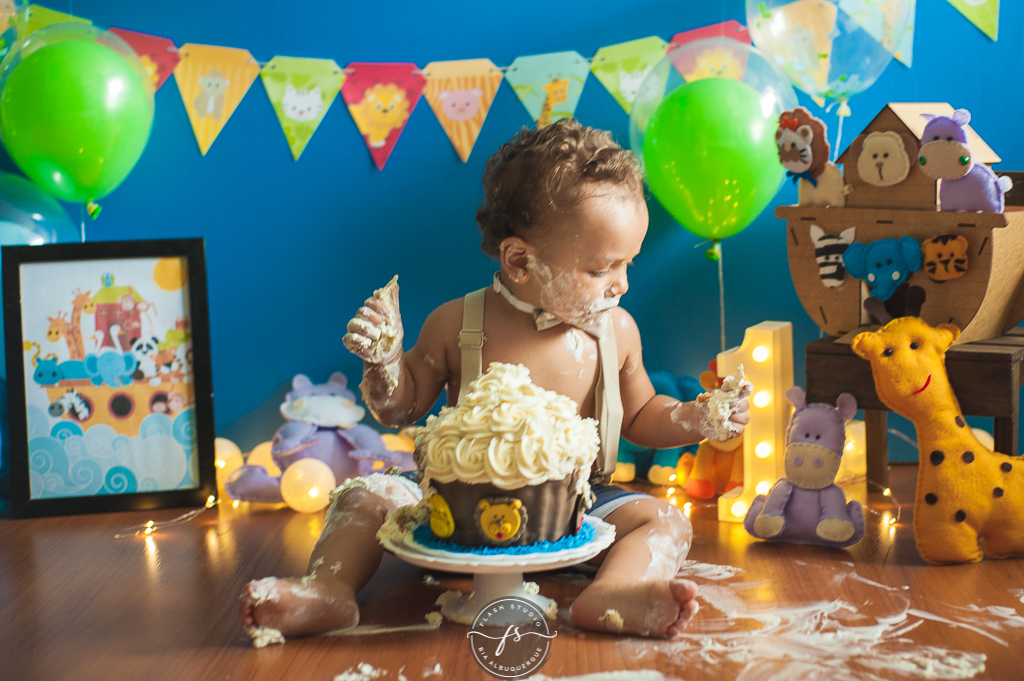 foto de smash the cake da arca de noé em estudio no rio de janeiro em bangu