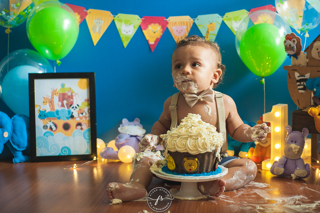 bebe lindo em smash the cake da arca de noé em estudio no rio de janeiro em bangu