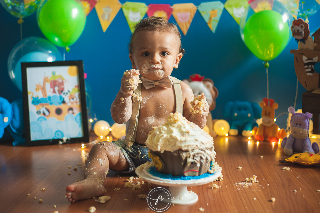 bebe em foto de smash the cake da arca de noé em estudio no rio de janeiro em bangu