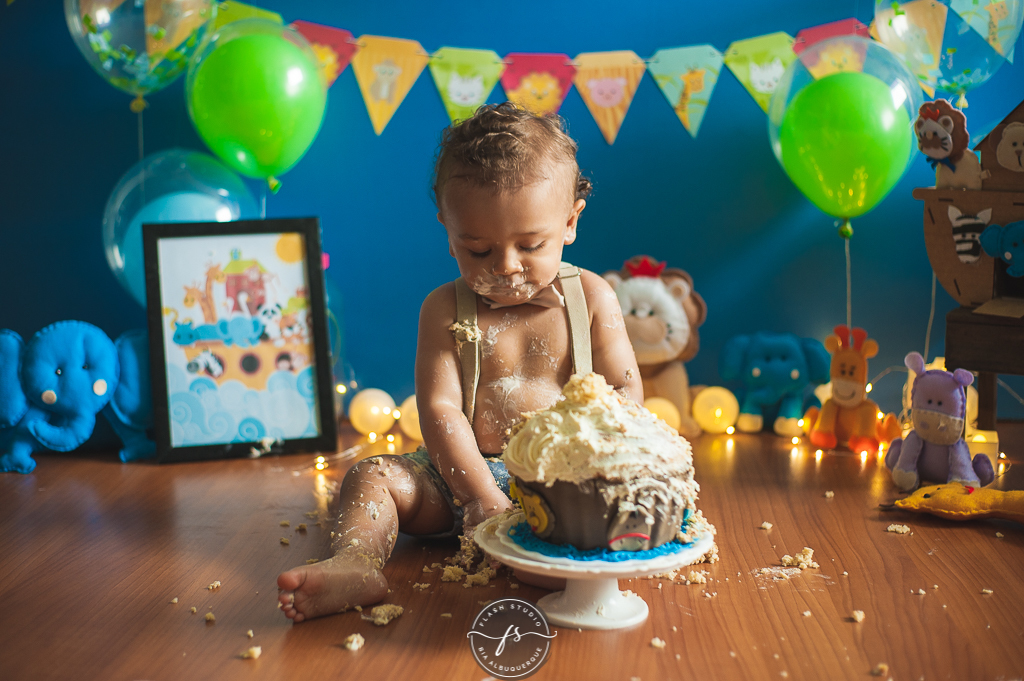 foto de bebe em smash the cake da arca de noé em estudio no rio de janeiro em bangu