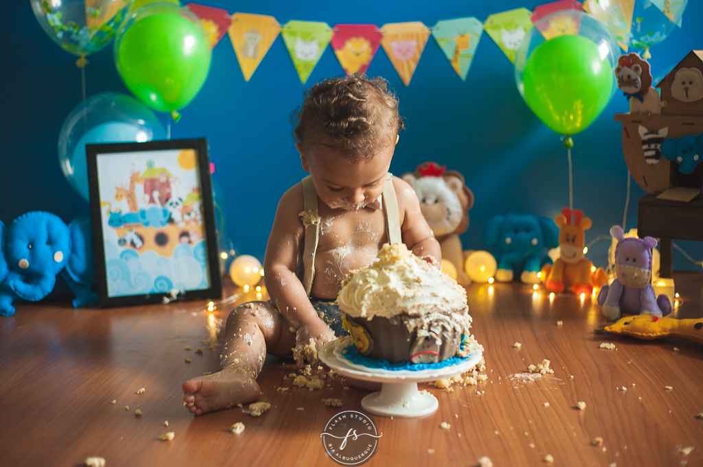 bebe se sujando em smash the cake da arca de noé em estudio no rio de janeiro em bangu