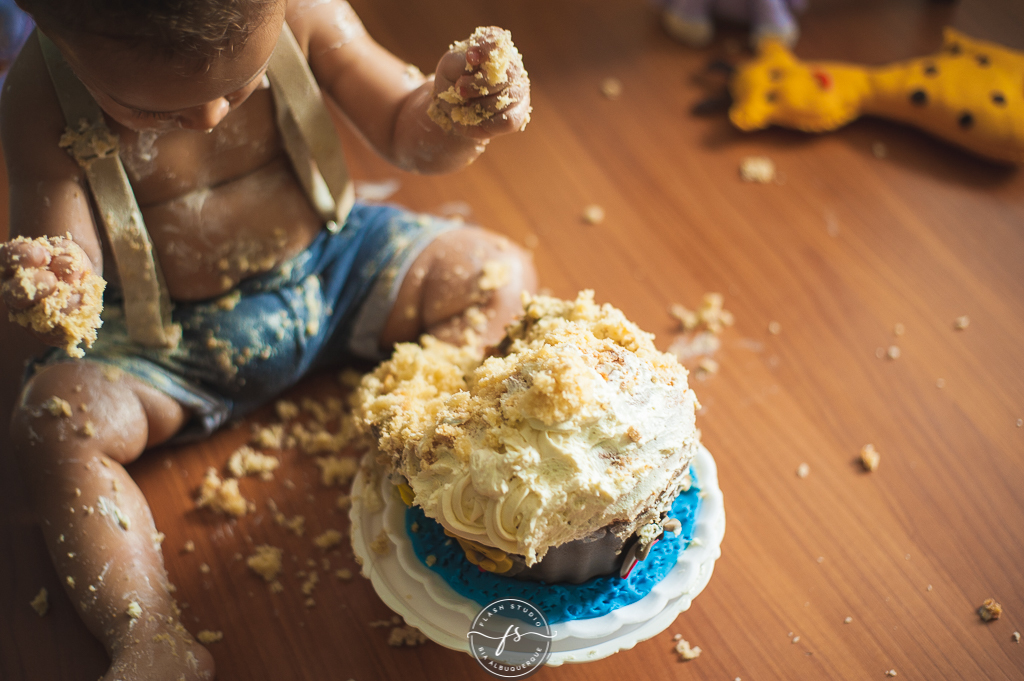 mais detalhes em smash the cake da arca de noé em estudio no rio de janeiro em bangu