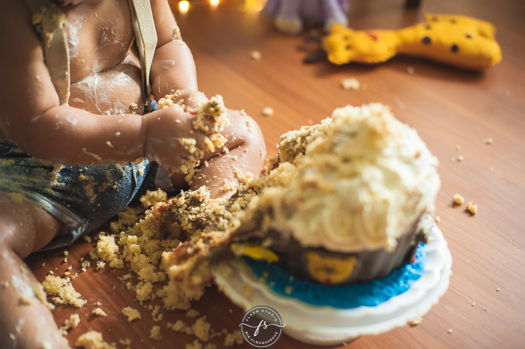 fotos de detalhes em smash the cake da arca de noé em estudio no rio de janeiro em bangu