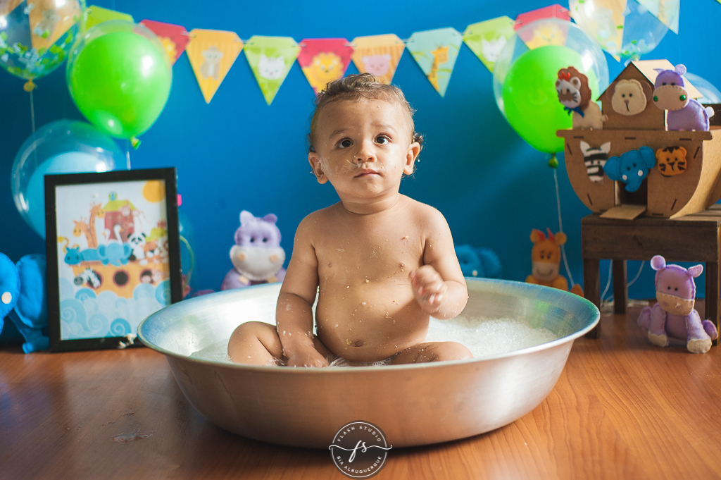 hora do banho em smash the cake da arca de noé em estudio no rio de janeiro em bangu