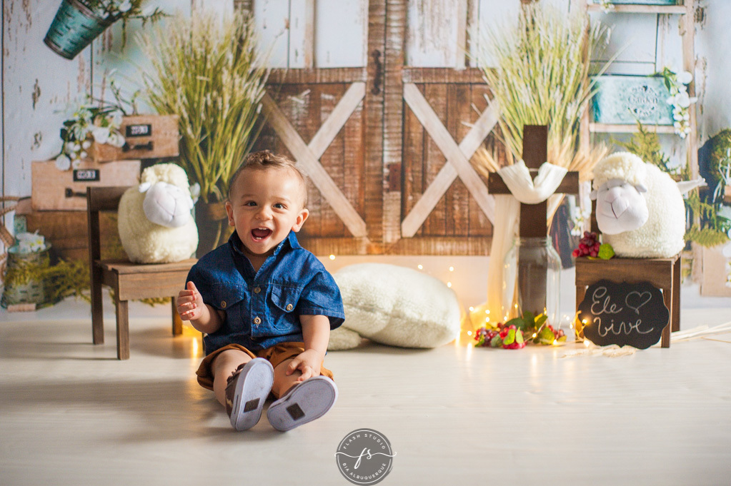 baby arthur em ensaio de pascoa, com coelhinhos e ovelhinhas, no rio de janeiro, em bangu