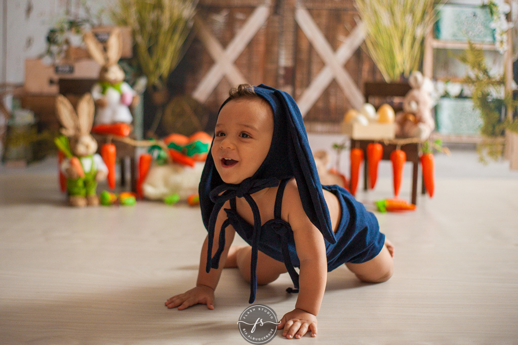 baby coelho em ensaio de pascoa, com coelhinhos e ovelhinhas, no rio de janeiro, em bangu