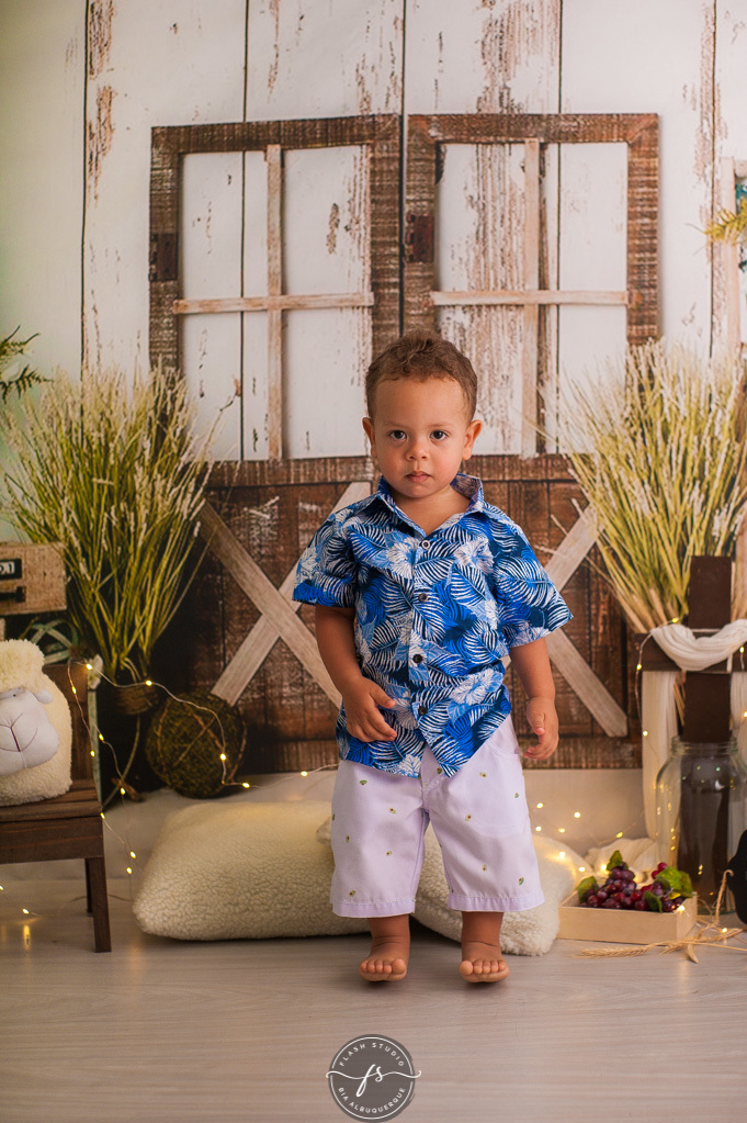 menino em ensaio de pascoa, com coelhinhos e ovelhinhas, no rio de janeiro, em bangu