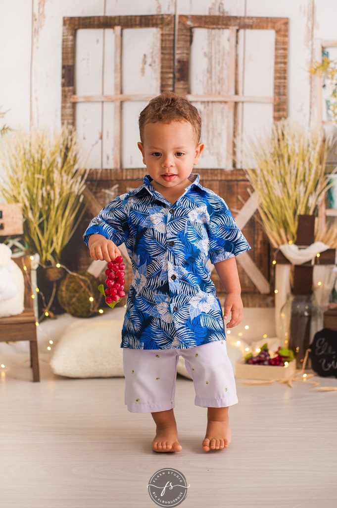 menininho em ensaio de pascoa, com coelhinhos e ovelhinhas, no rio de janeiro, em bangu