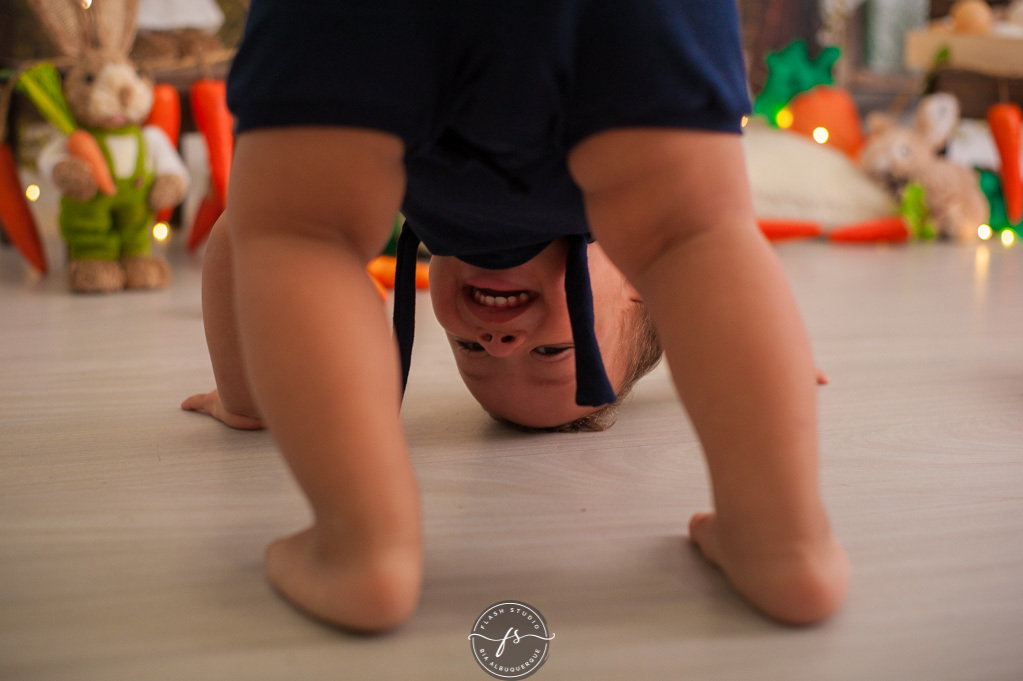 de cabeça pra baixo em ensaio de pascoa, com coelhinhos e ovelhinhas, no rio de janeiro, em bangu