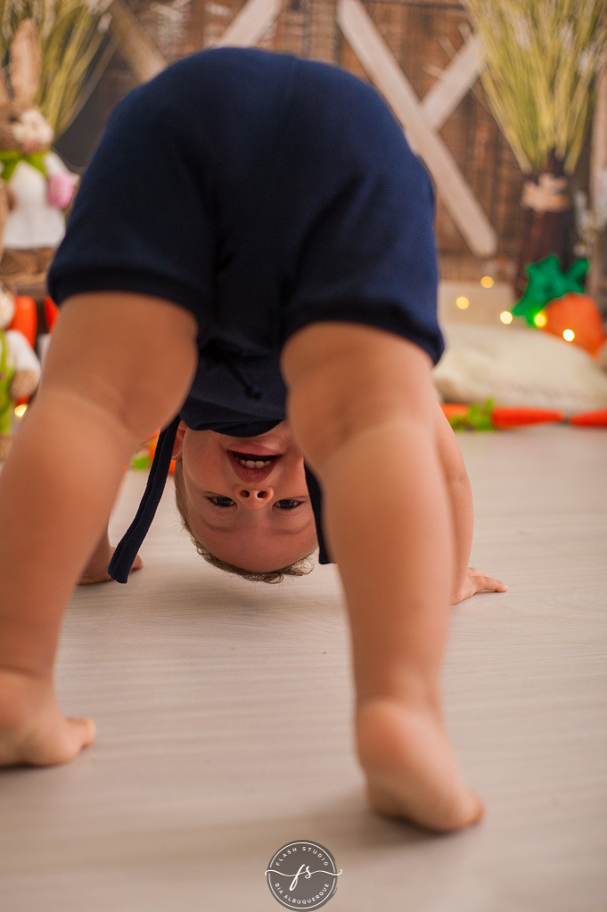 bebe de cabeça pra baixo em ensaio de pascoa, com coelhinhos e ovelhinhas, no rio de janeiro, em bangu