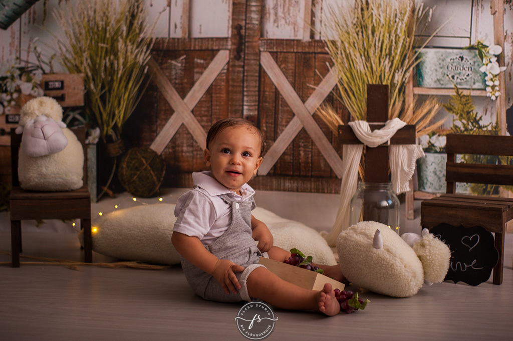 menino em ensaio de pascoa, com coelhinhos e ovelhinhas, no rio de janeiro, em bangu