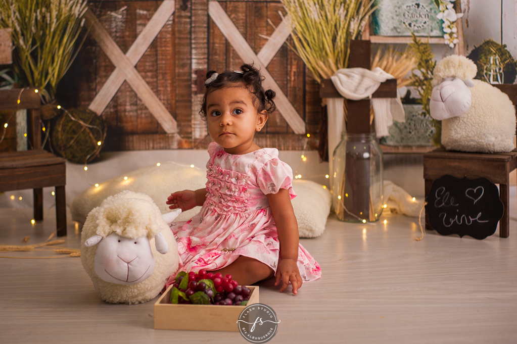 bebe em cenario de ovelha em ensaio de pascoa, com coelhinhos e ovelhinhas, no rio de janeiro, em bangu