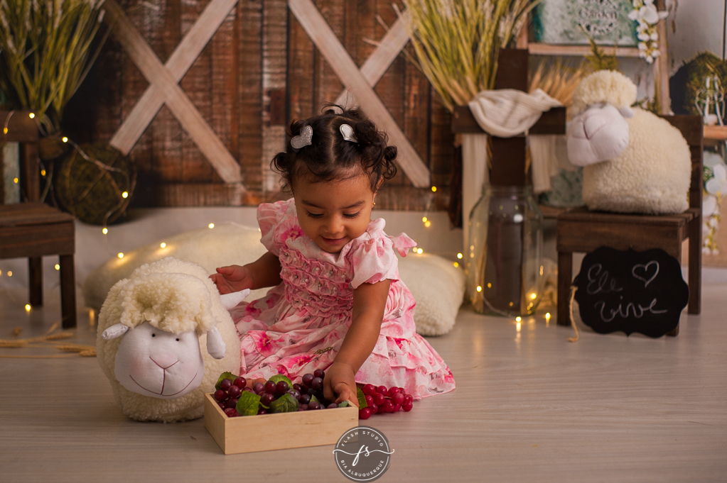 bebezinha em cenario de ovelha em ensaio de pascoa, com coelhinhos e ovelhinhas, no rio de janeiro, em bangu