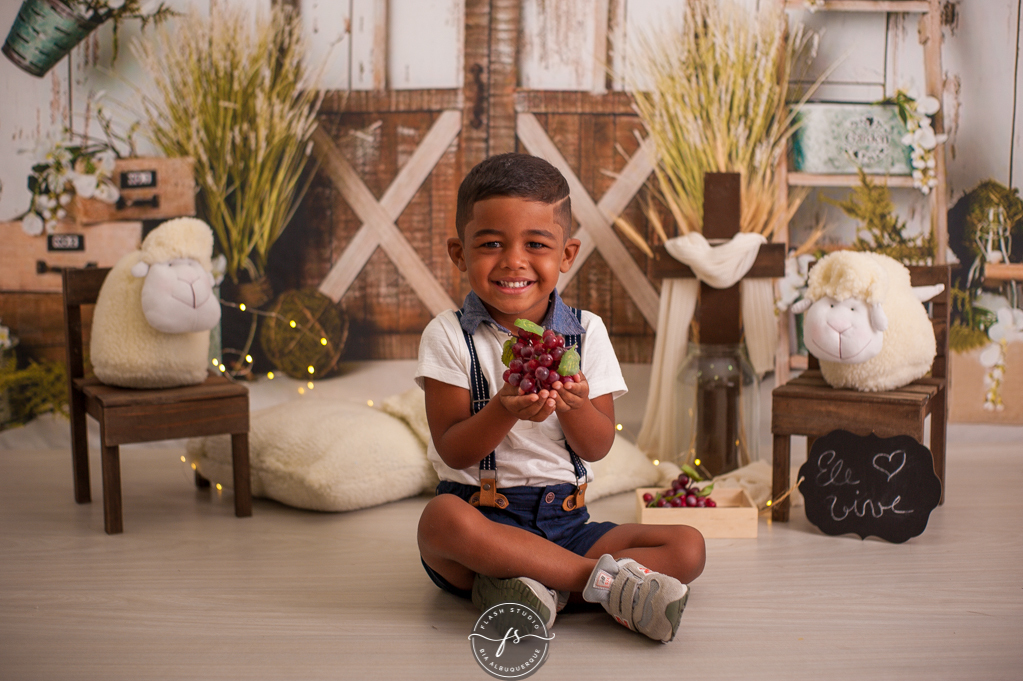menino feliz segurando uvas ensaio de pascoa, cenario de ovelhinhas, em estudio em bangu, no rio de janeiro 
