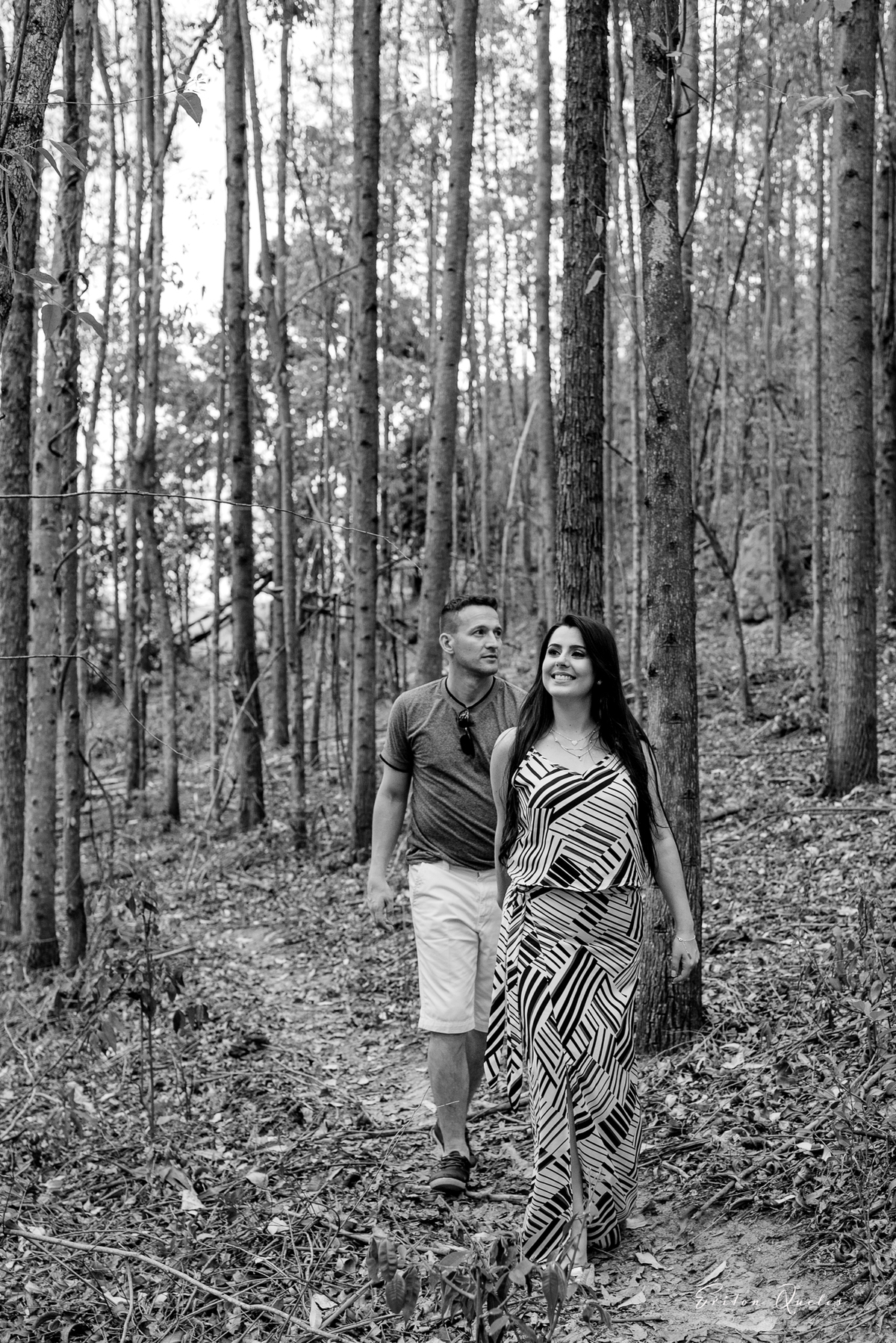 foto na plantação de eucalipto 